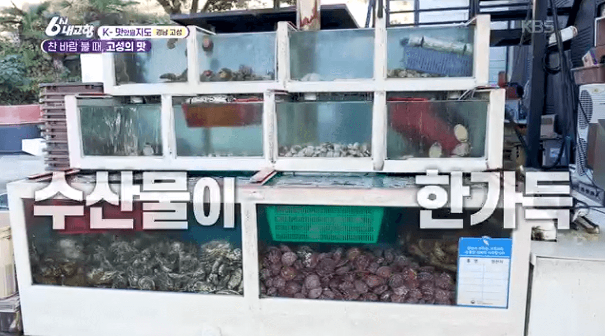 [6시내고향]경남 고성 제철 홍가리비 &amp;#39;계림새우나라&amp;#39; 예약 위치 연락처 정보