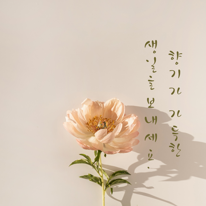 생일 축한 꽃다발 이미지