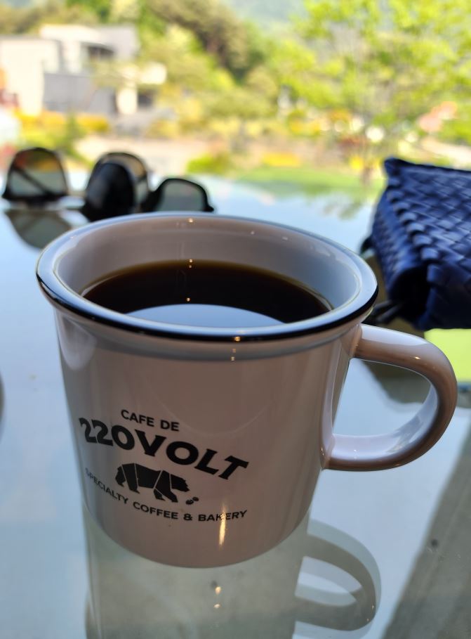 카페드 220 볼트