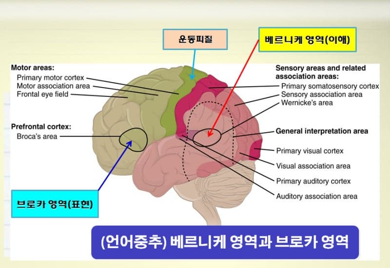중장년이 생각은 많은데 말이 잘 안 나올 때