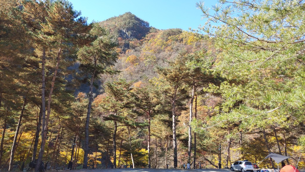 영월 리버힐즈 캠핑장 전경