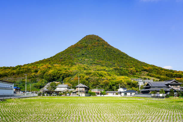 2024 청와대 개방 예약 방법(청와대 개방 2주년)
