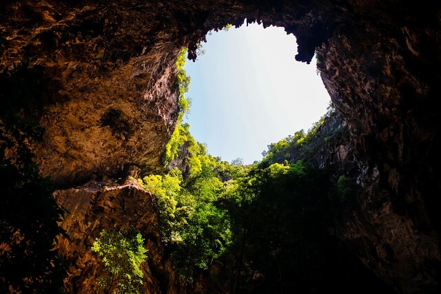 동굴이 &lsquo;영양이 부족한&rsquo; 이유: 동굴의 생태학이 말하는 한계와 균형