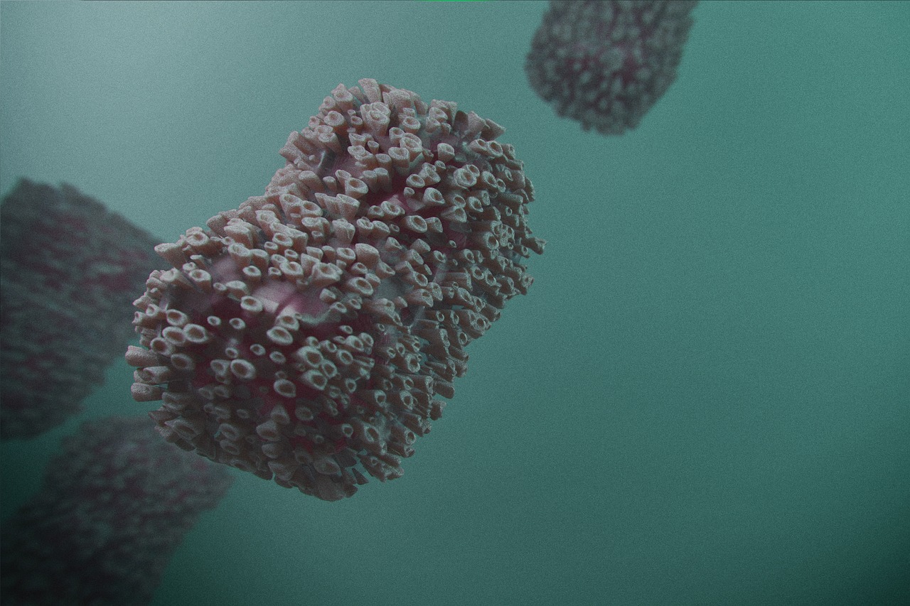 monkeypox 7229302_1280