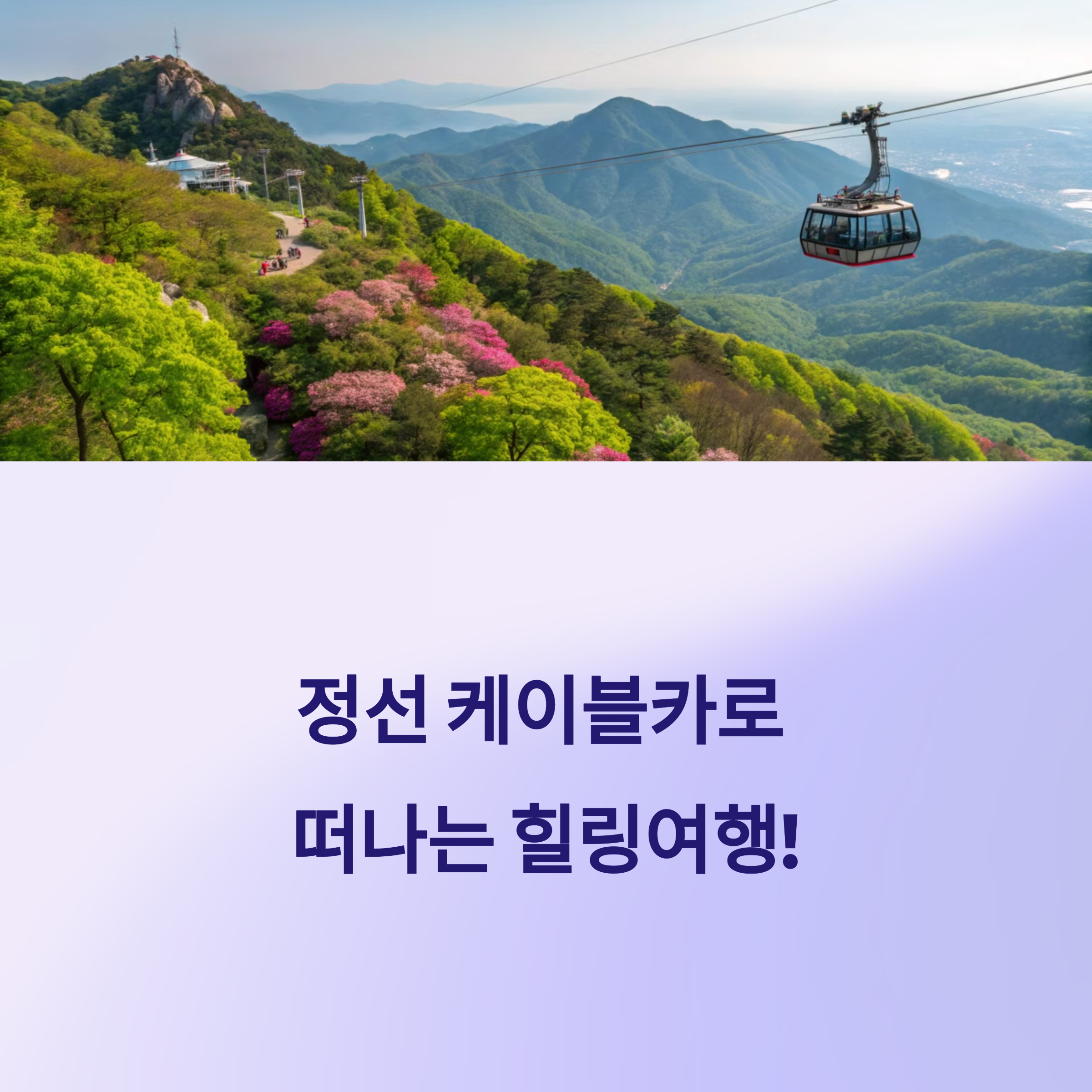 정선 케이블카 타고 힐링여행!