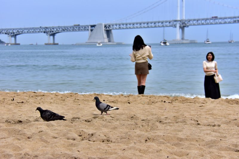 2023년 5월 광안리 해수욕장