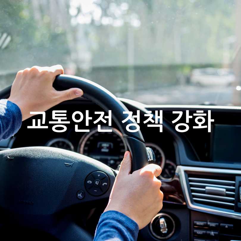 운전면허 반납 어르신 지원