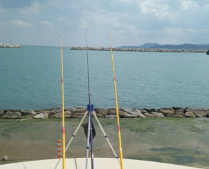 부산 차박하기 좋은 성지 TOP 5곳