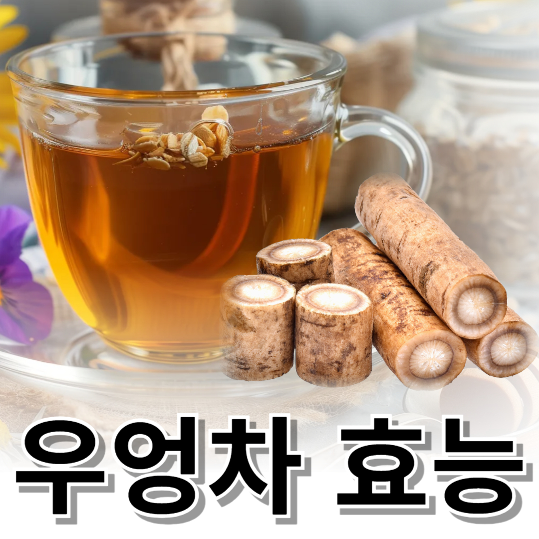 우엉차와 관련된 사진입니다.