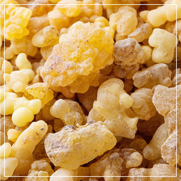 보스웰리아-먹는방법