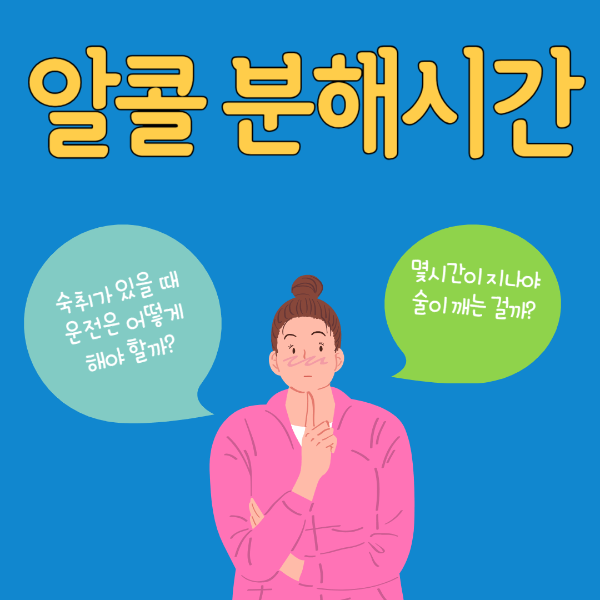 알콜 분해 시간