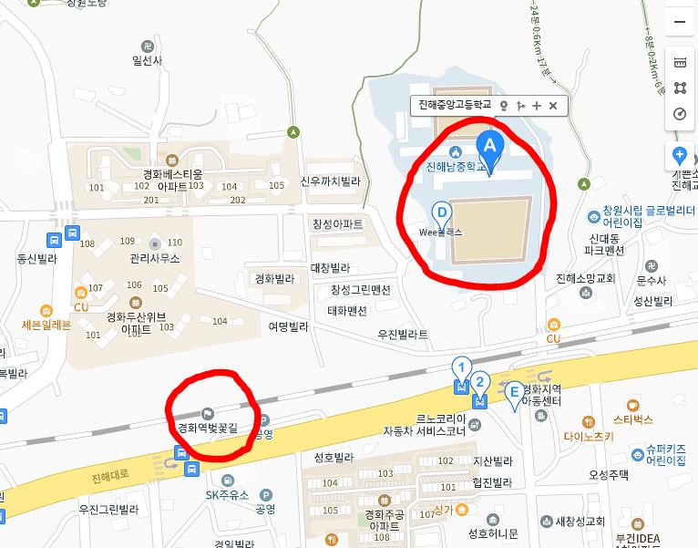 진해군항제 벚꽃축제 벚꽃명소 축제정보