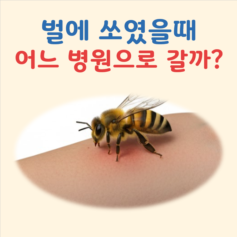 벌에 쏘였을 때 어느병원 대표 이미지