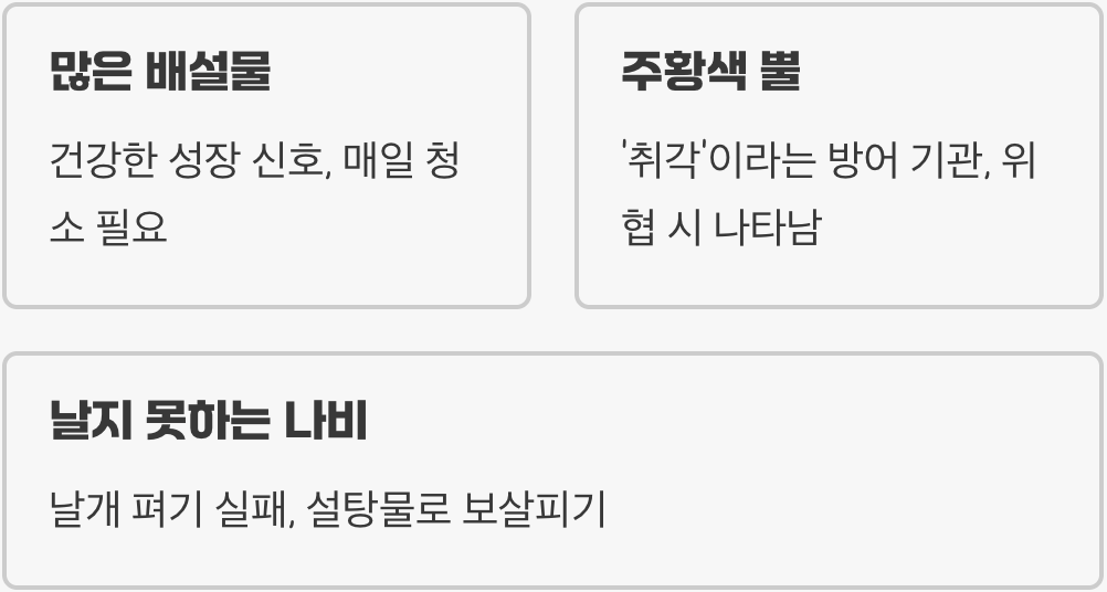 초보 집사를 위한 호랑나비 애벌레 키우기 A to Z (먹이&amp;#44; 사육통&amp;#44; 우화까지 완벽 가이드)