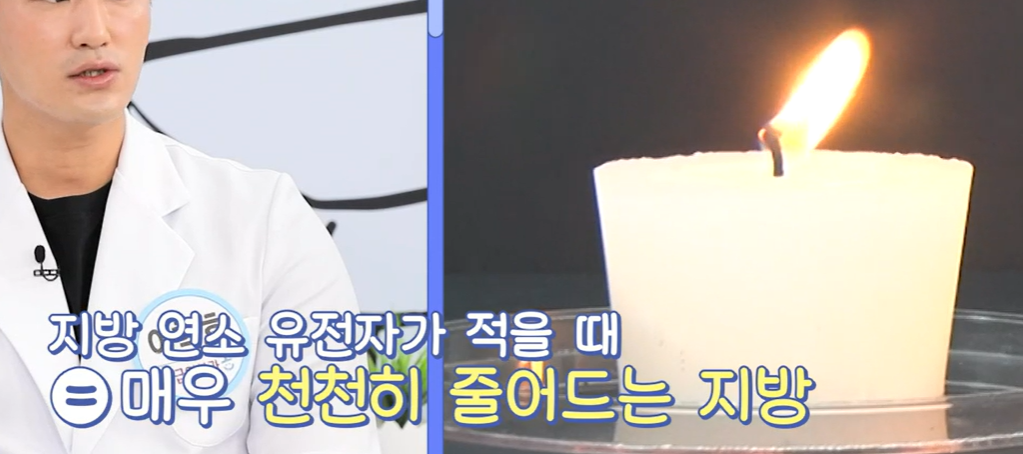 bnr17유산균 효능