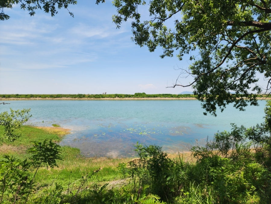 전주 1인 가구 생활 루틴 분석 &mdash; 조용히 반복되는 하루가 쌓여 삶이 된다