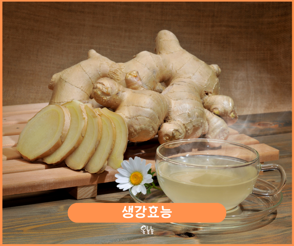 생강효능