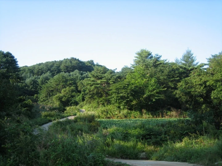 초보자를 위한 땅 투자