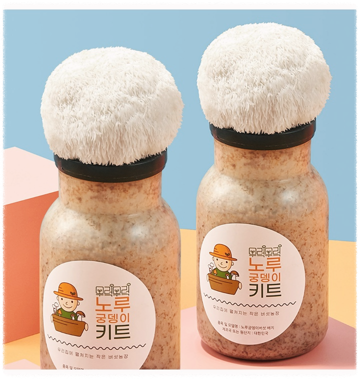 노루궁뎅이버섯의-효능