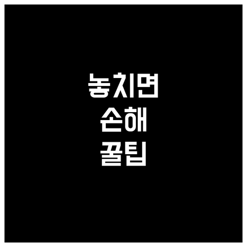 미국 여행 ESTA 수수료 오해! 항..