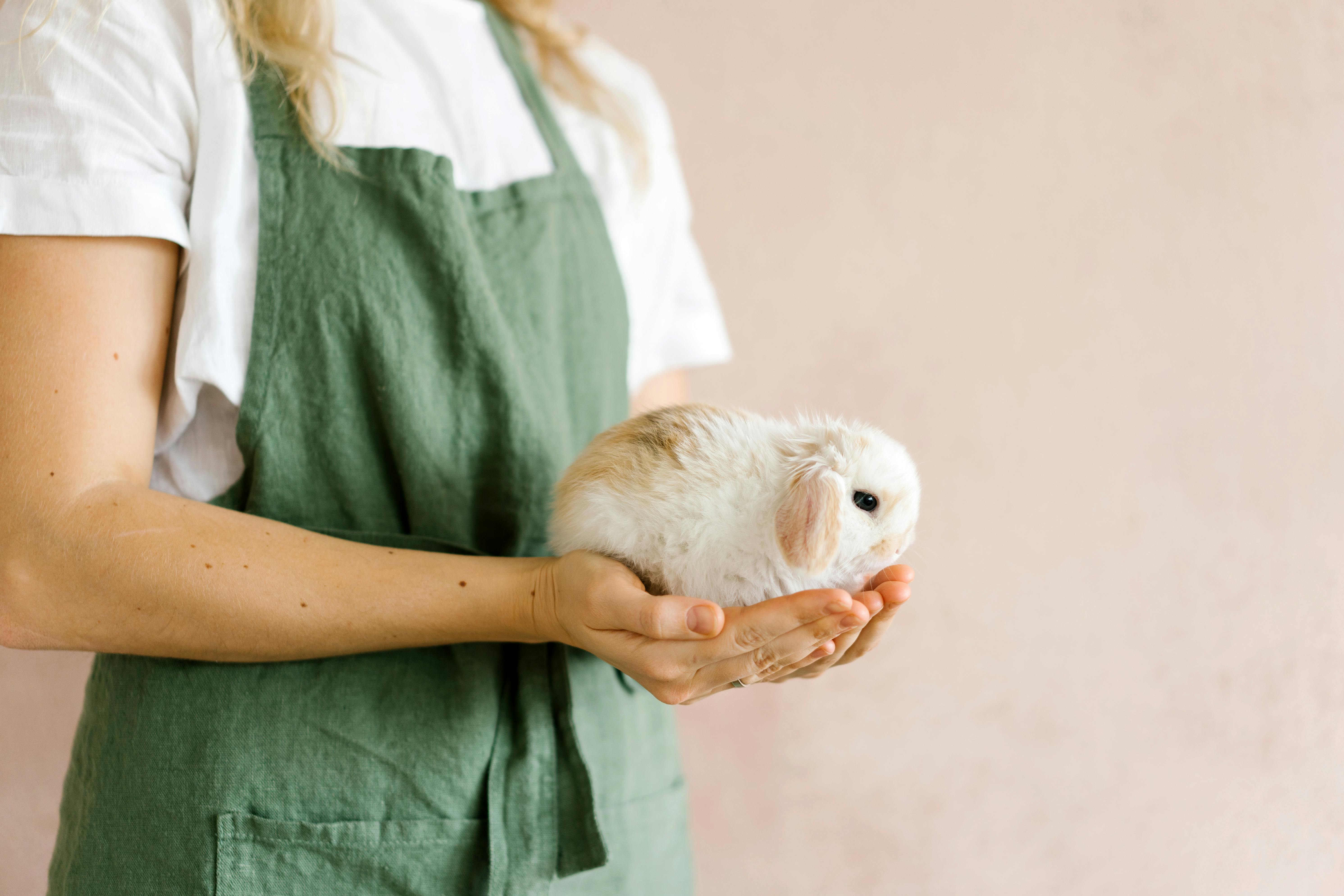 토끼가 사람 손위에 앉아있다.