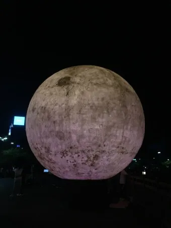 대전 은행동 역전 새벽시장하루가 가장 먼저 시작되는 따뜻한 풍경 기록_18