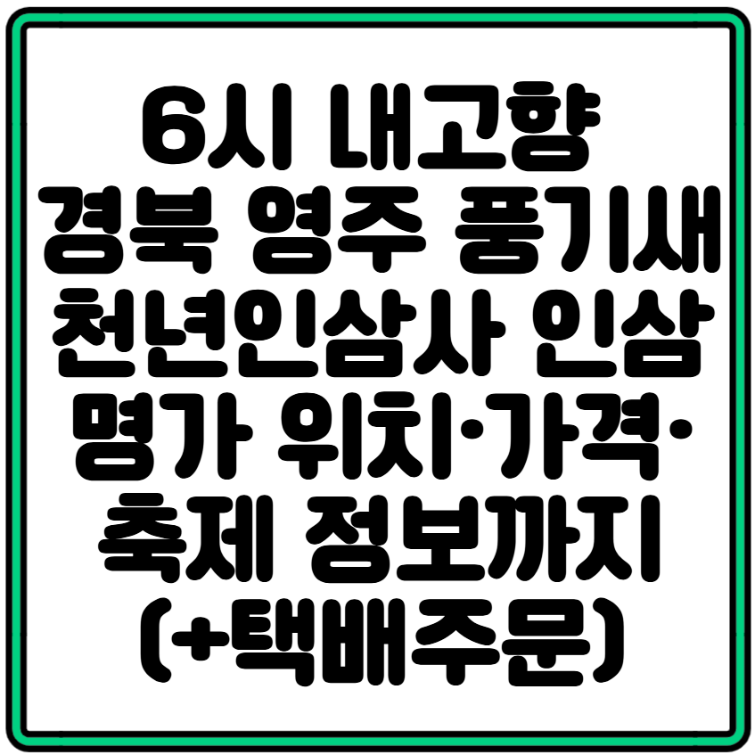 6시 내고향 경북 영주 풍기새천년인삼사 인삼 명가 위치·가격·축제 정보까지 (+택배주문)