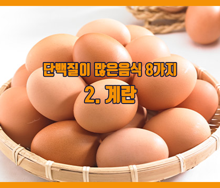 단백질이 많은음식 계란