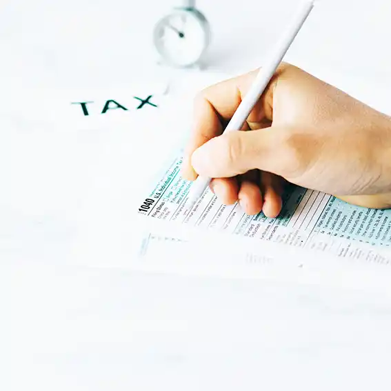 세금신고