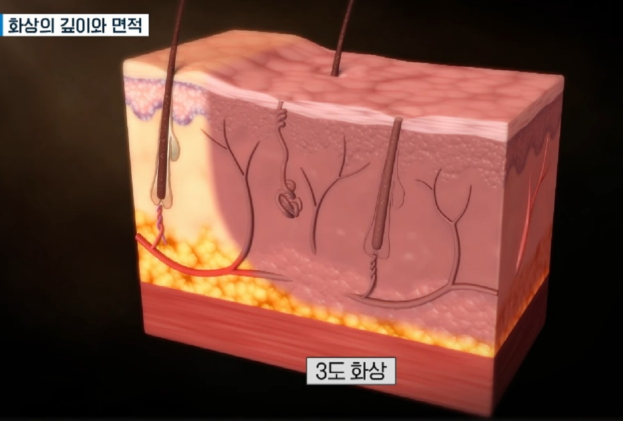 김도헌-교수