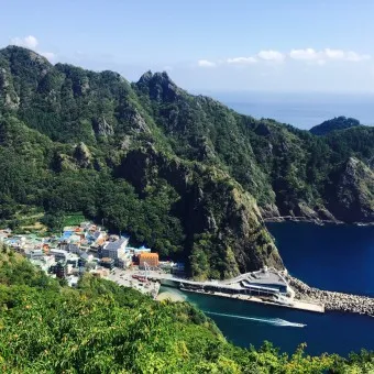 울릉도 독도 실시간 CCTV 라이브캠 날씨 교통정보 완벽 총정리, 2025 최신판 (여행 필수 정보)