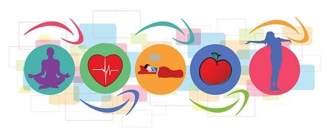 건강한 라이프 스타일