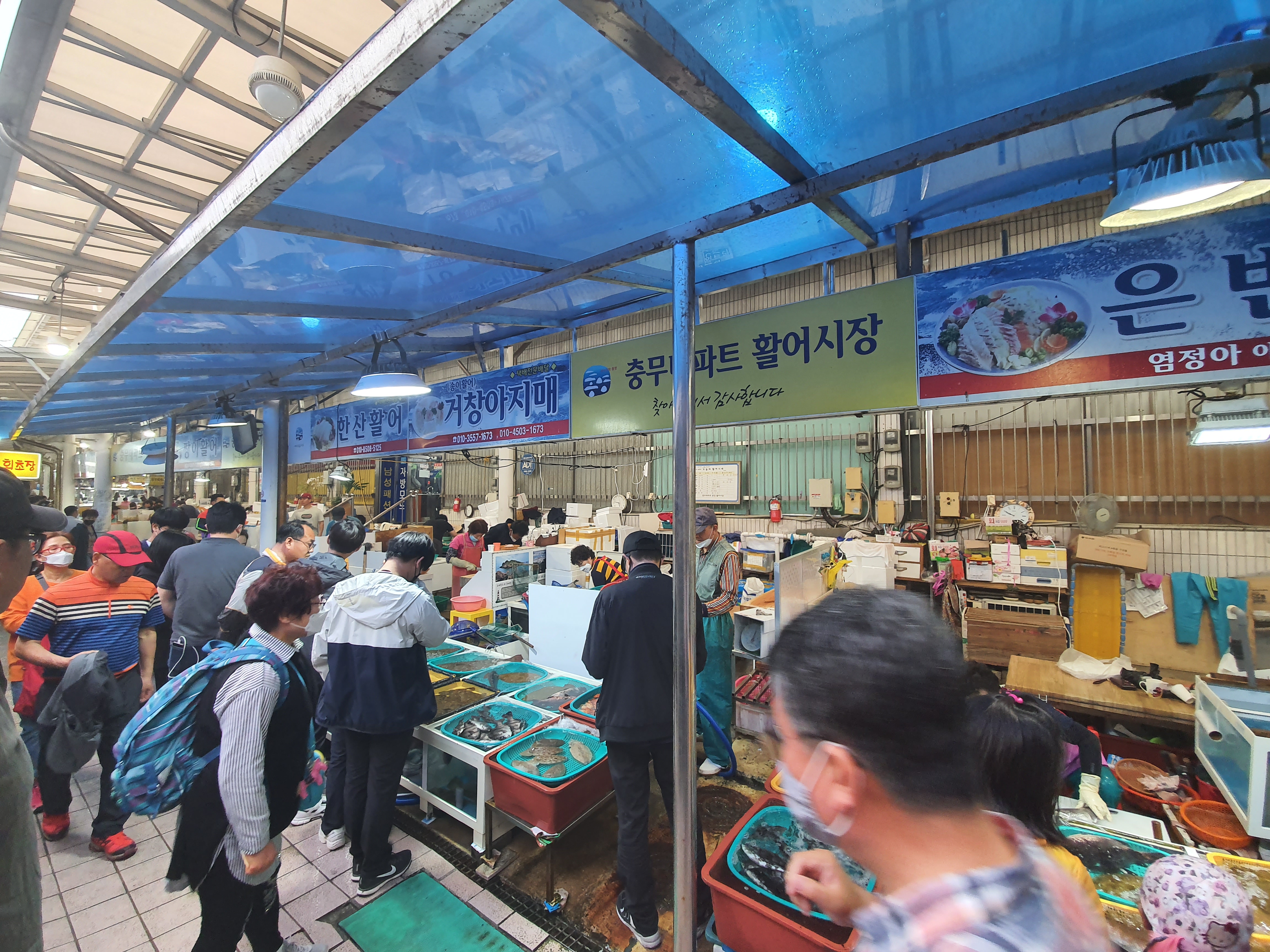 통영 수산시장1