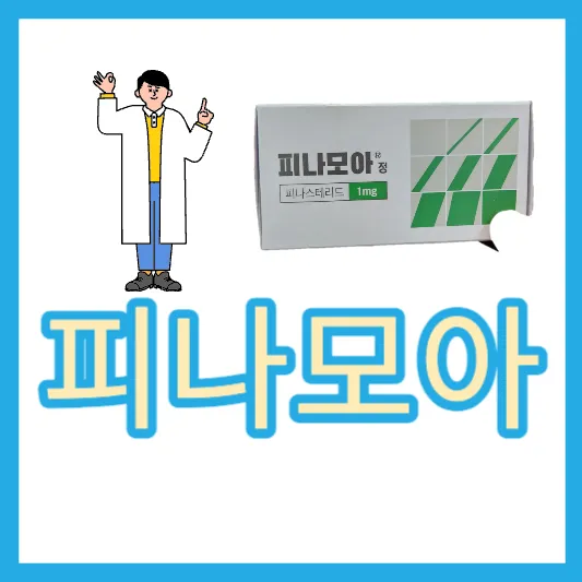30~40대 탈모 성지 피나모아정 효능 가격 프로페시아 카피약 가격