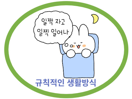 규칙적인 생활 방식