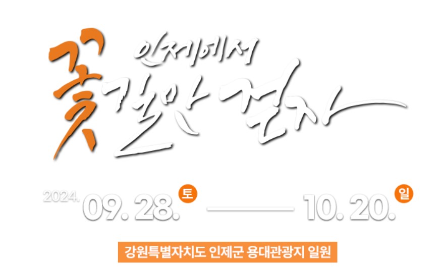 가을나들이 추천 인제가을꽃축제
