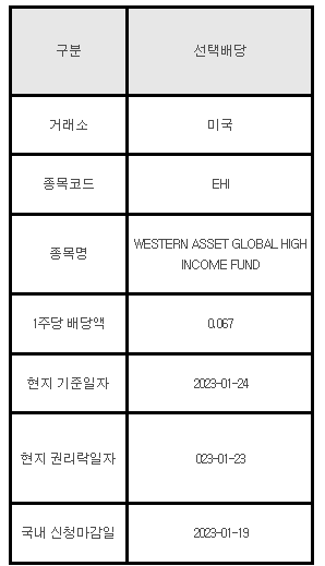 미국주식 선택배당 안내 EHI