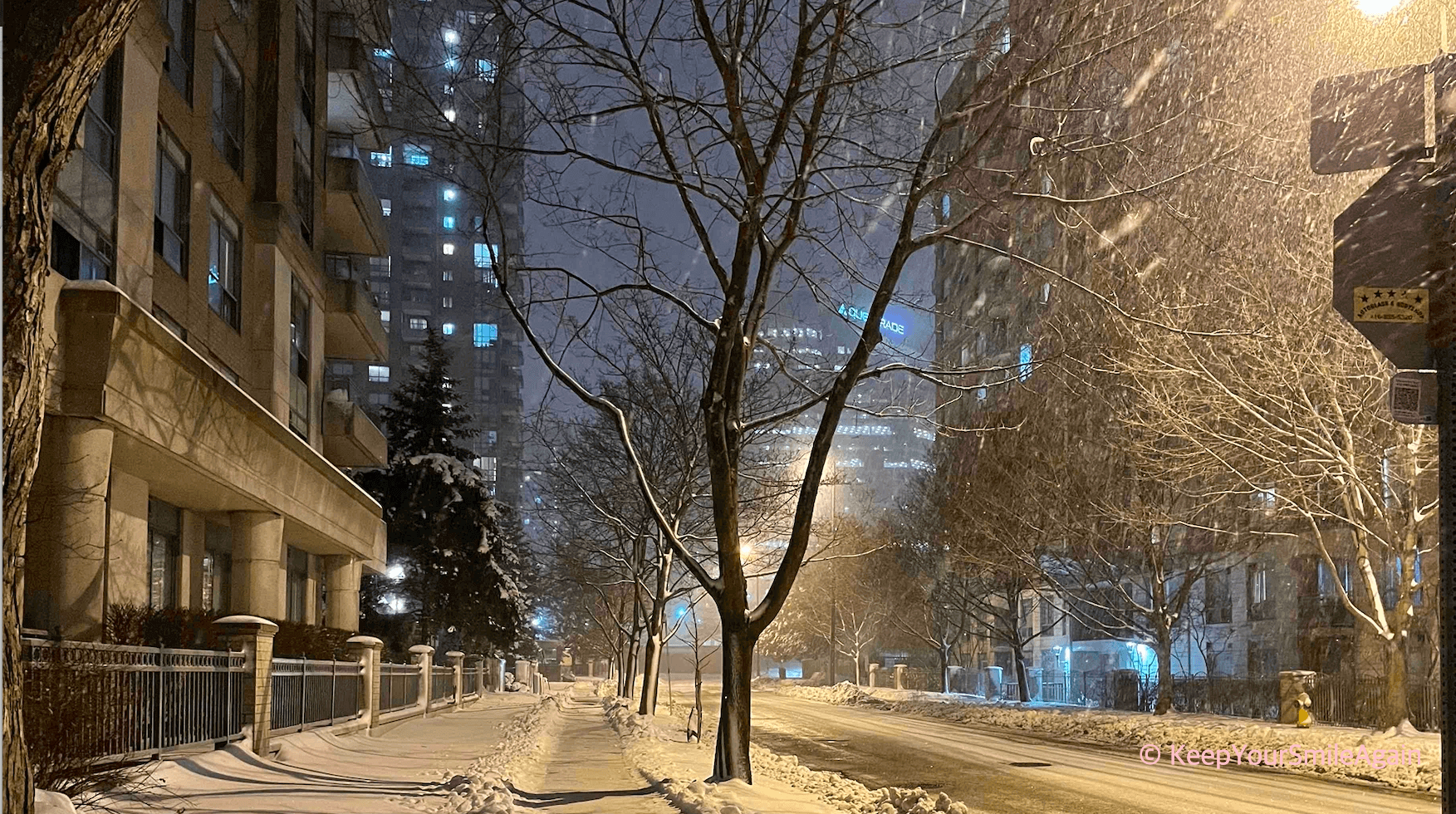 1월 눈 내리는 토론토의 밤:) 첫 캔들라이트 콘서트 보고 집가는 길