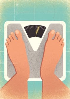 코코아 가루 다이어트