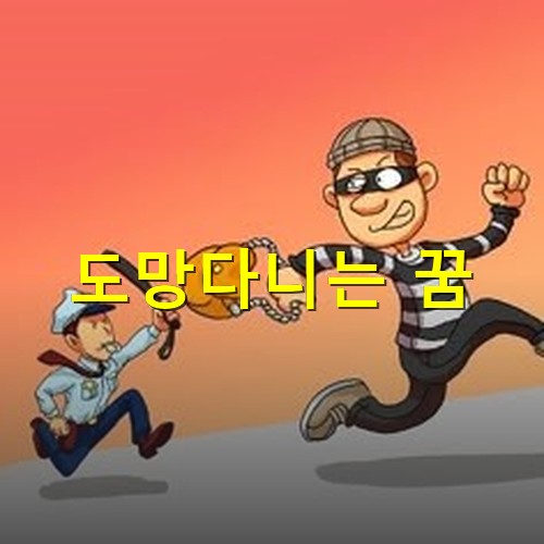 경찰을-피해-도망다니는-도둑
