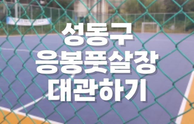 성동구 도시관리공단 응봉풋살장 대관하기