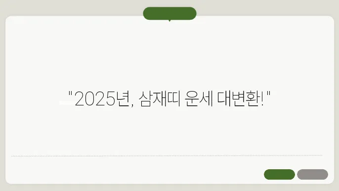 2025년 삼재띠 알아보기