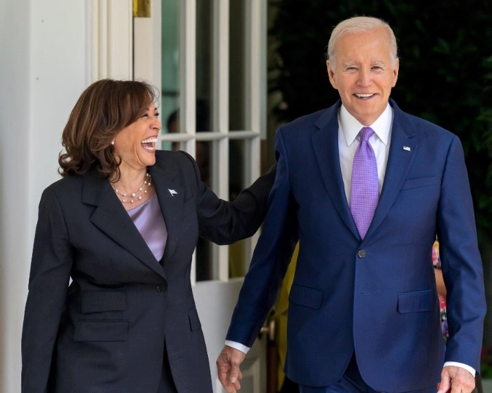 해리스 부통령 프로필 나이 고향 학력 경력 | 바이든 사퇴 대체후보 카멀라 해리스 거론 배경