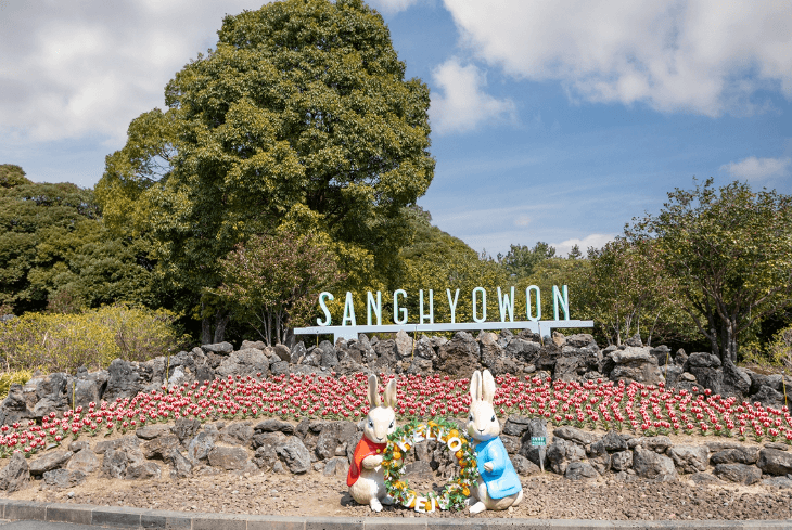 제주도 4월 축제 일정 총정리