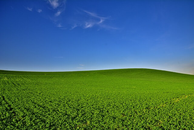 탄소중립포인트 에너지