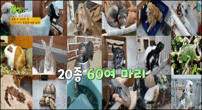 생생정보 수달동물원 안내