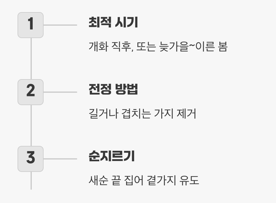 자유로운 영혼을 길들이는 기술, 가지치기