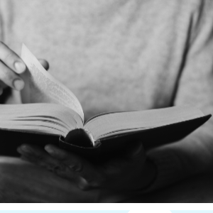 2024 노벨문학상 한강소설