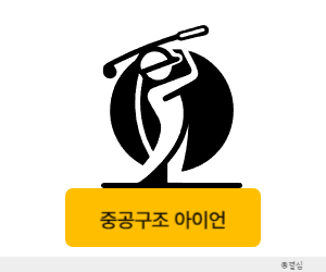 중공구조 아이언