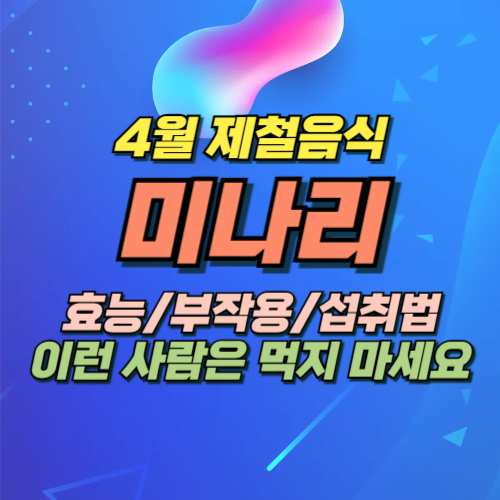 미나리 효능 부작용
